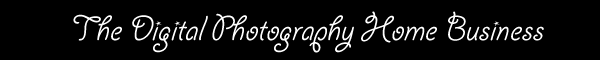 the digital photography business
